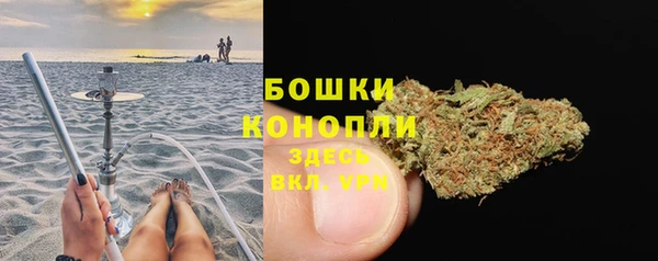 дурь Волосово